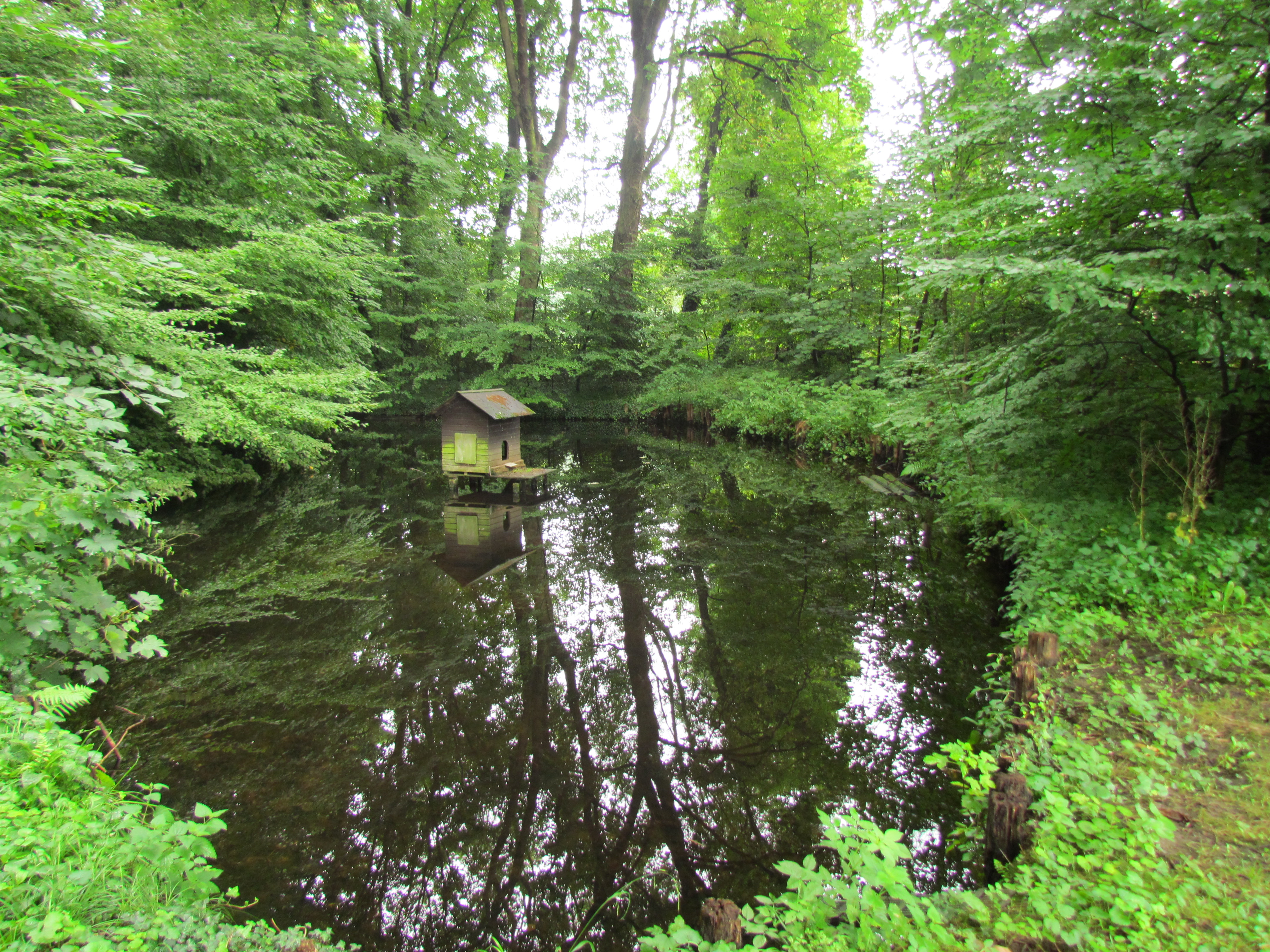 © Finken, Bernd | Motte Keyenberg 2017 Motte Keyenberg 2017