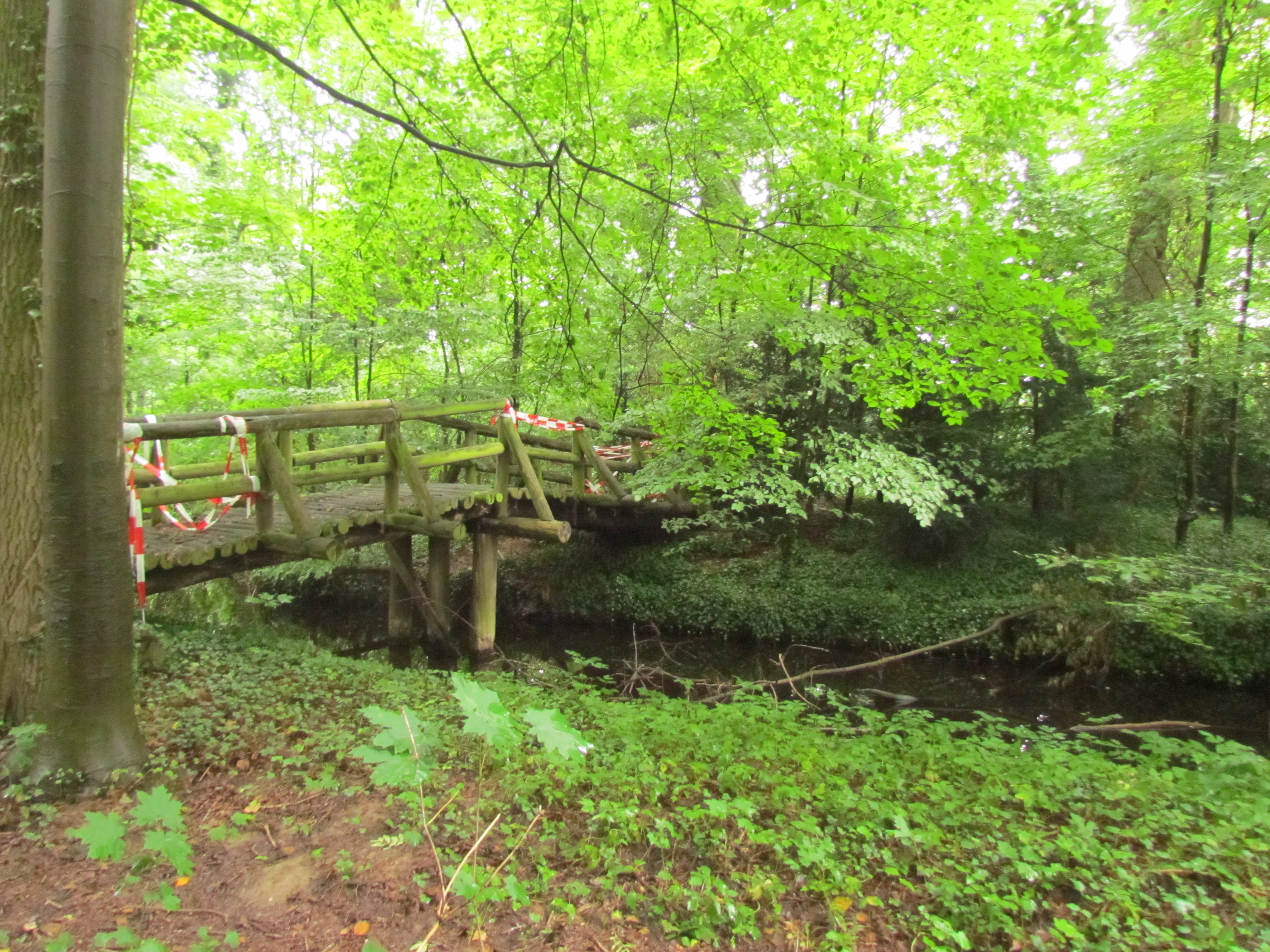 © Finken, Bernd | Motte Keyenberg 2017 Motte Keyenberg 2017