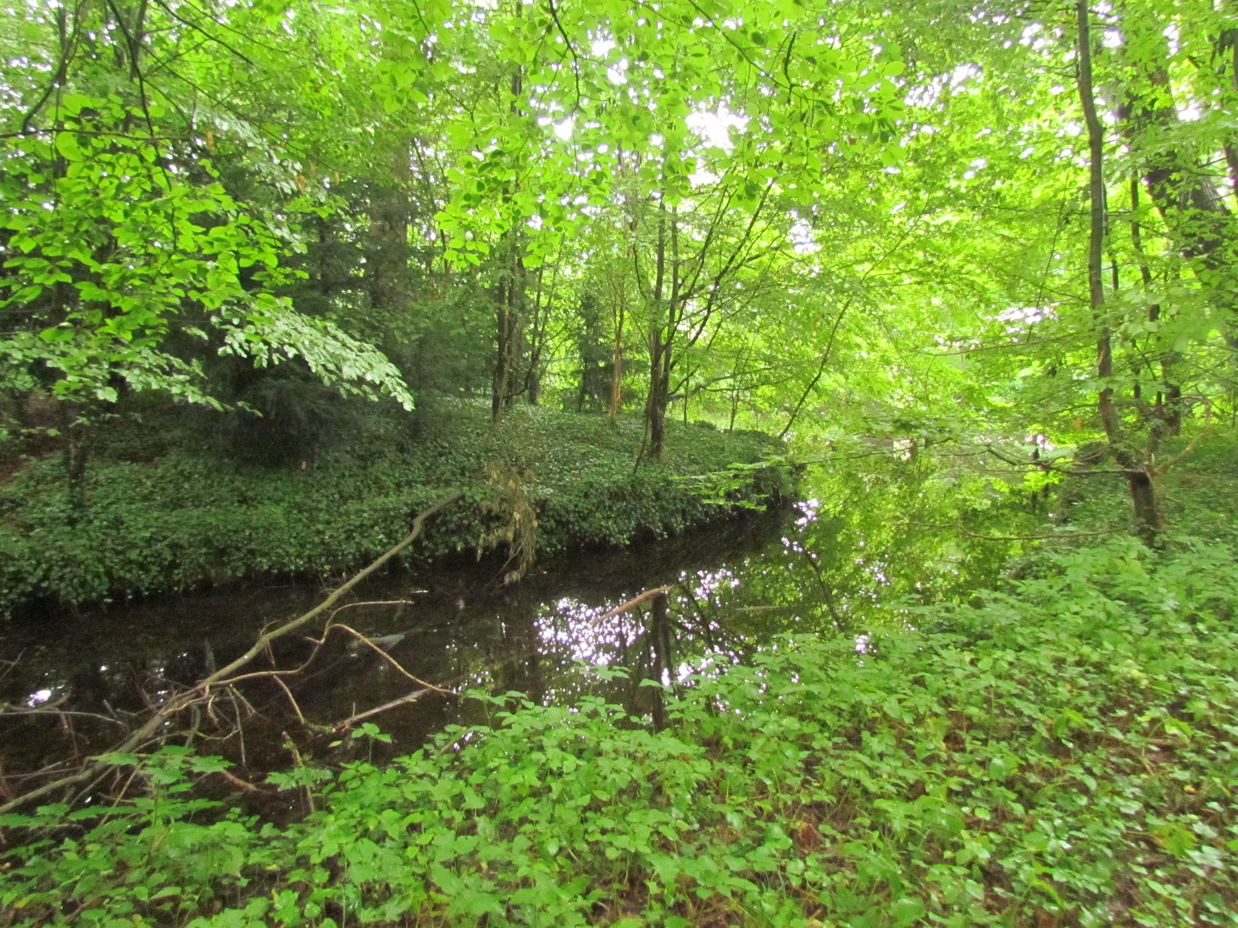 © Finken, Bernd | Motte Keyenberg 2017 Motte Keyenberg 2017