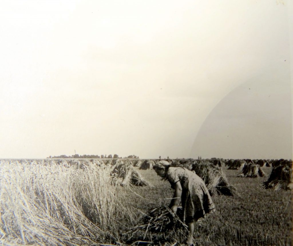 © Andreas Weitz | Berverath um 1910