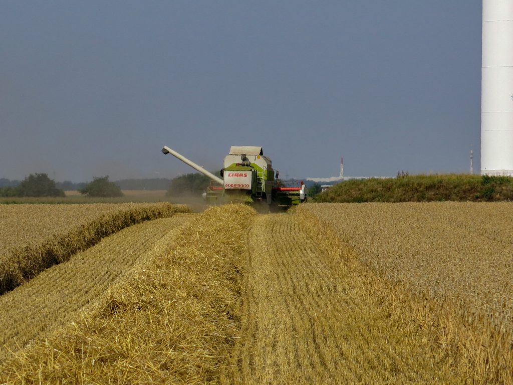 © Martina Pohl-Elser | Die Mahd