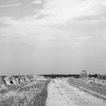 © Hans-Peter Jans | Hermann Schwingens | Ernte 1940er und 50er Jahren