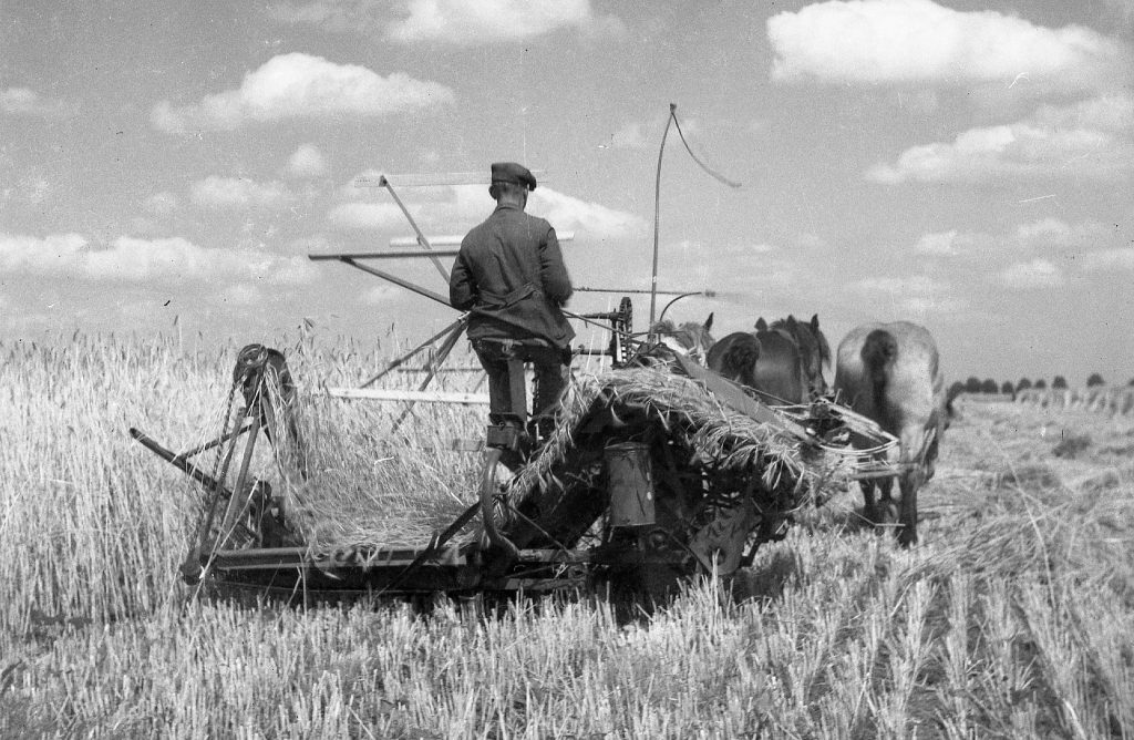 © Hans-Peter Jans | Hermann Schwingens | Ernte 1940er und 50er Jahren