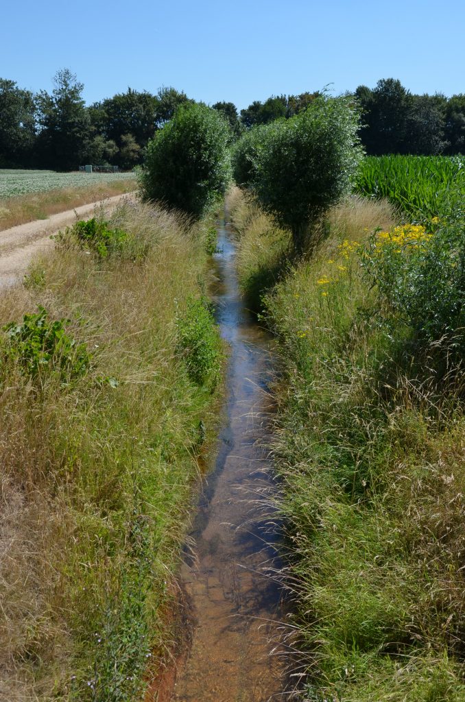 © RRP | Recker-Proprenter | Köhm von Borschemich