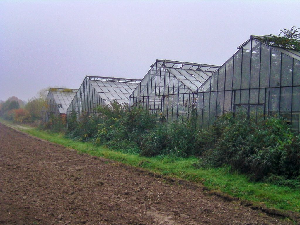 © Copyright 2008 | Bernd Kaulertz | Treibhäuser