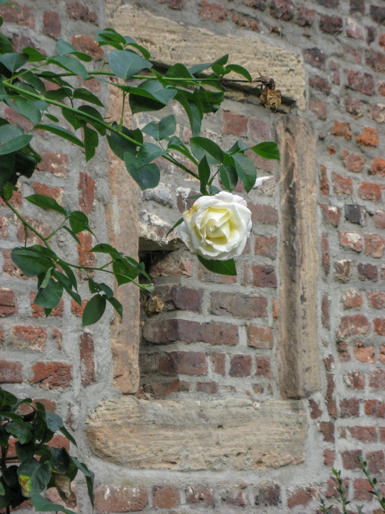 © Heike Vogt | Haus Palant 2014