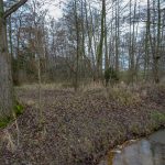 © Wolfgang Lothmann | Keyenberg Flachsröste 2019