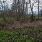 © Wolfgang Lothmann | Keyenberg Flachsröste 2019