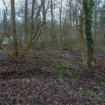 © Wolfgang Lothmann | Keyenberg Flachsröste 2019