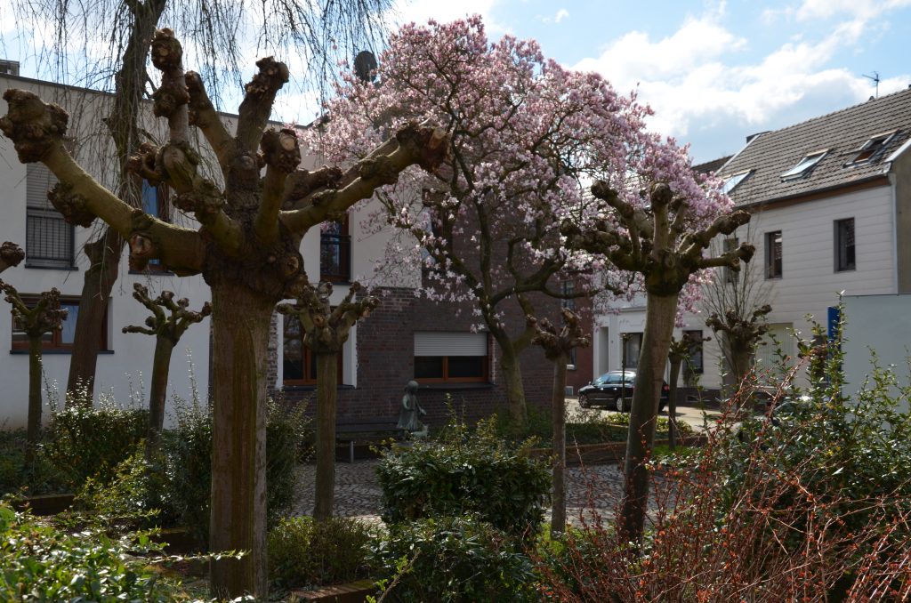 © RRP | R. Recker-Proprenter | Granterath-Dorplatz