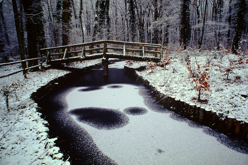 © Copyright 2012 | Helmut Clever | Motte-im-Winter-1