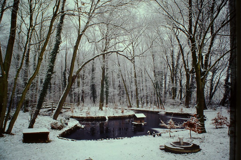 © Helmut Clever | Motte-im-Winter-2