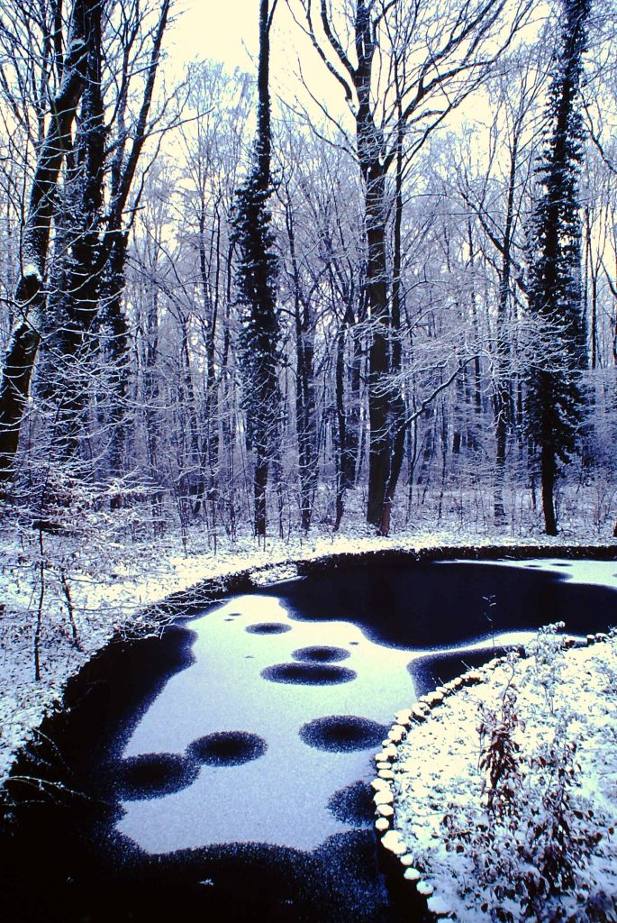 © Helmut Clever | Motte-im-Winter-3