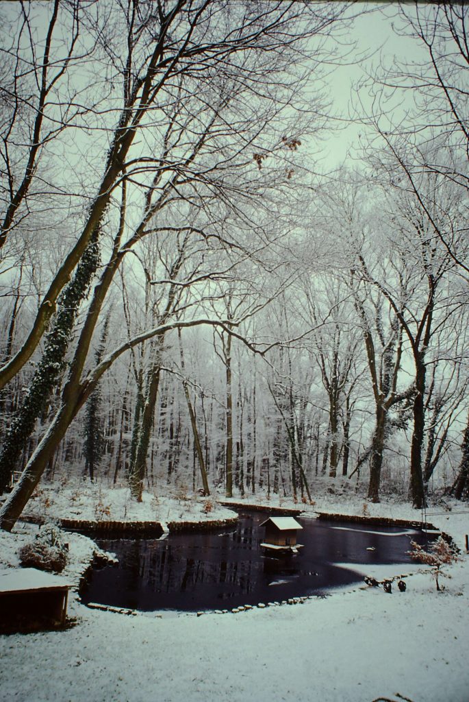 © Copyright 2012 | Helmut Clever | Motte-im-Winter-4