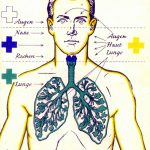 © Hans Walter Corsten | Bild-Gasschutz-1-komprimiert