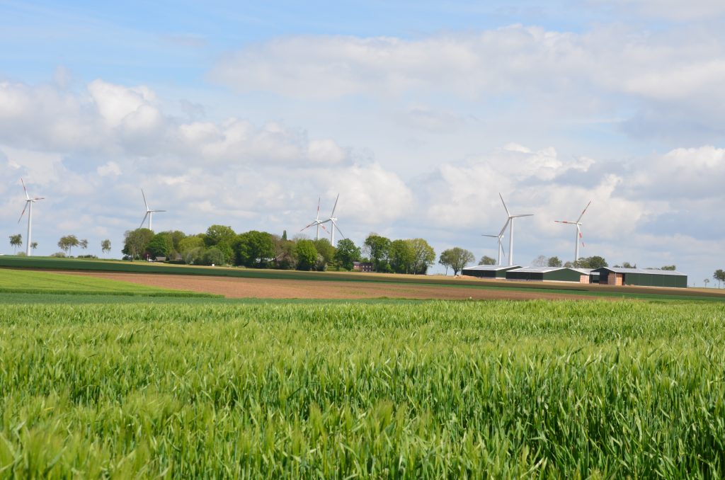 © R.R.P. | Recker-Proprenter | Hauerhof