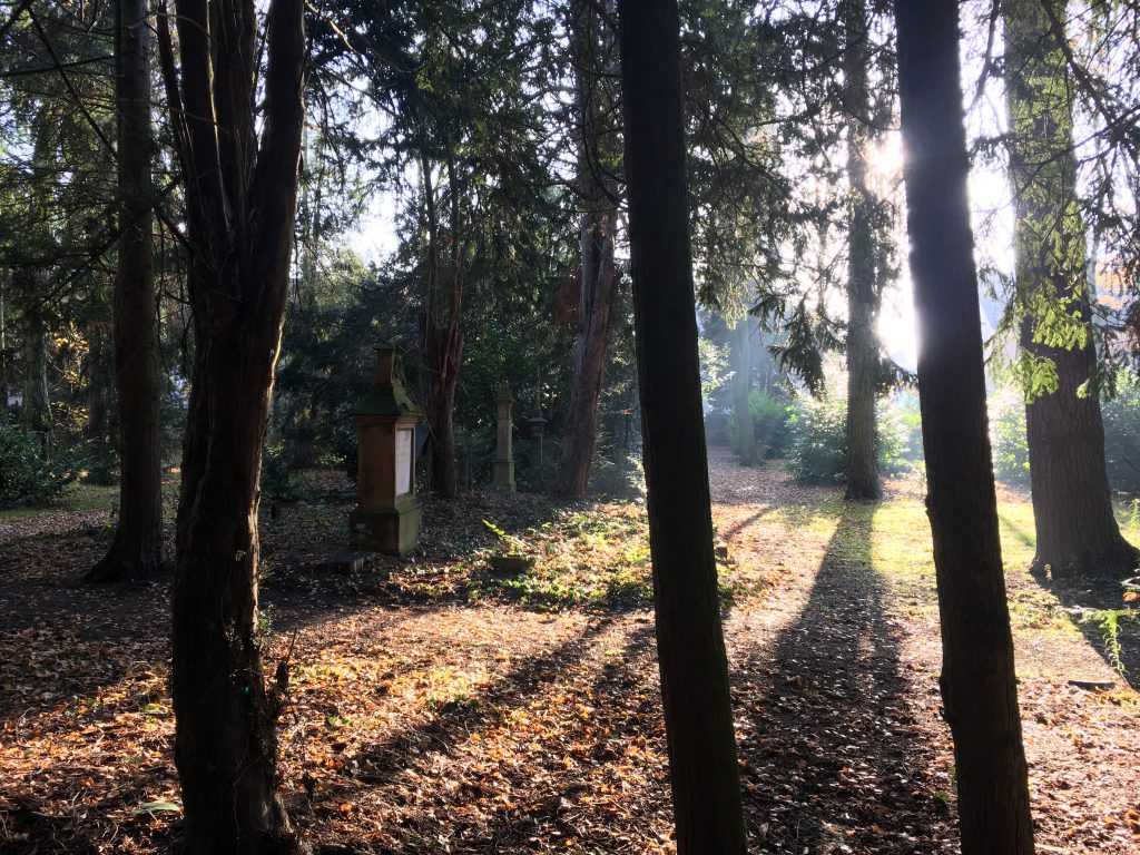 © Bernd Finken | Georg Blank | Impression