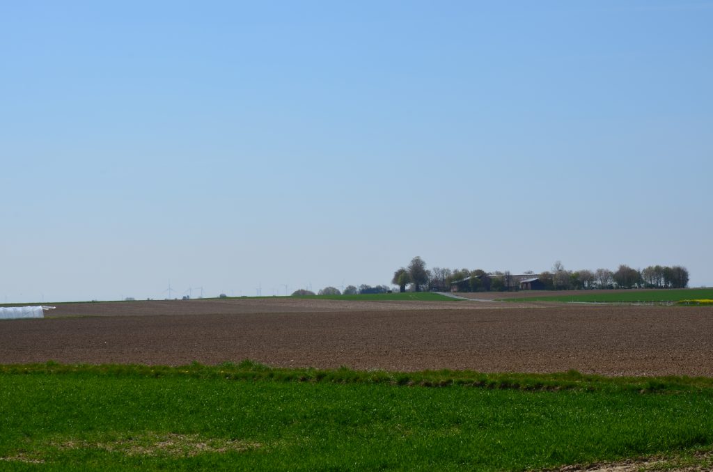 © R.R.P. | R.Recker-Proprenter | Dingbuchenhof vom Dicken Boom