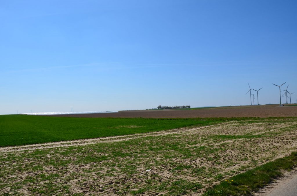 © R.R.P. | R. Recker-Proprenter | Dingbuchenhof