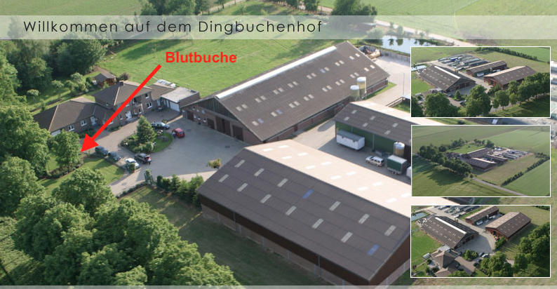 © Heribert und Brigitte Peters