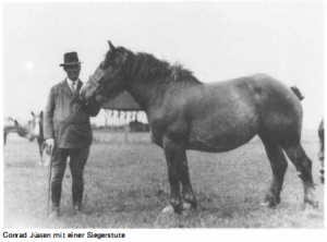 © Holzweiler ein Beitrag zur Geschichte bis Anfang des 19. Jahrhunderts, von Paul Blaesen