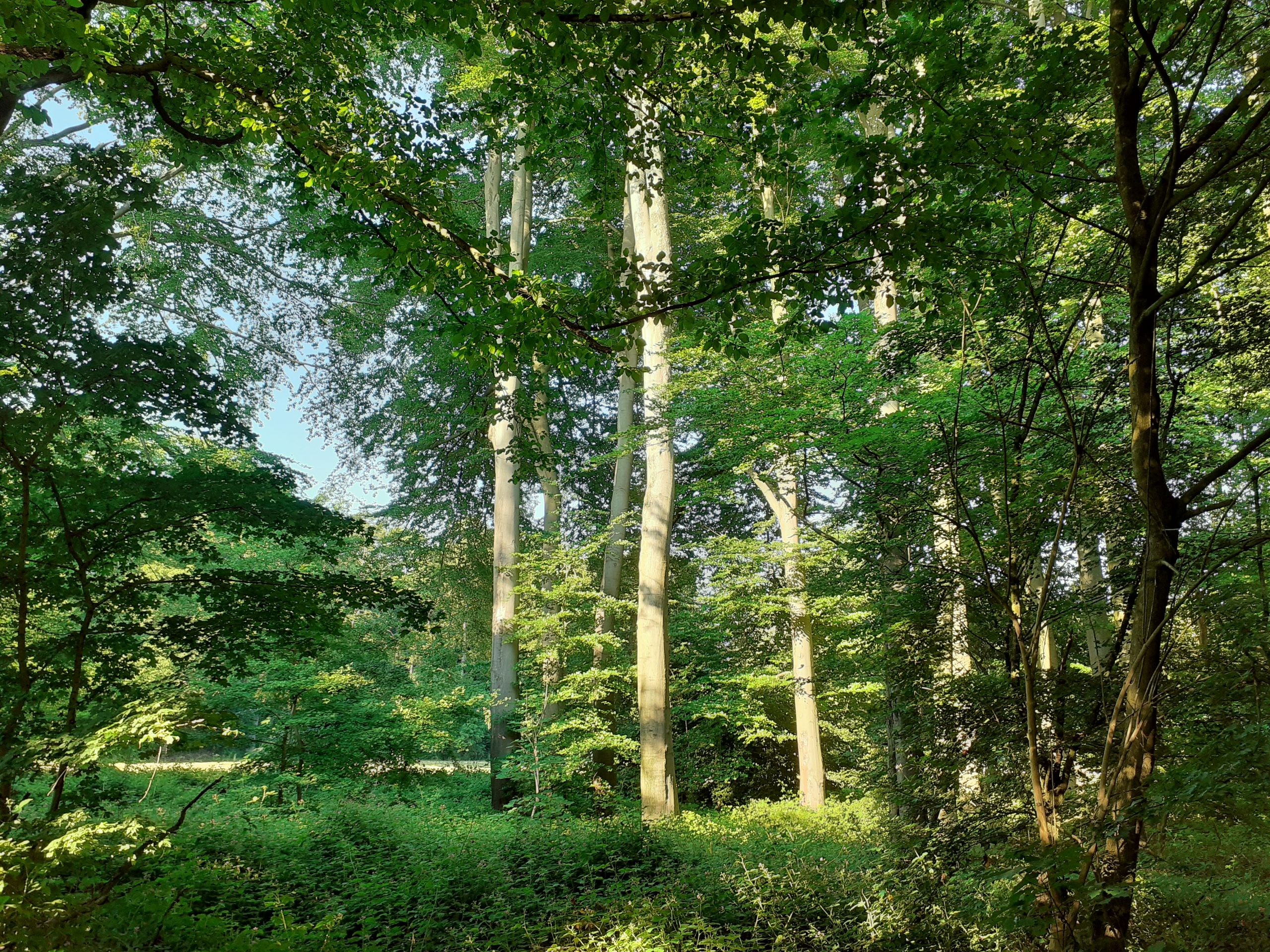 © R.R.P. | R. Recker-Proprenter | Landschaftspark in Krefeld