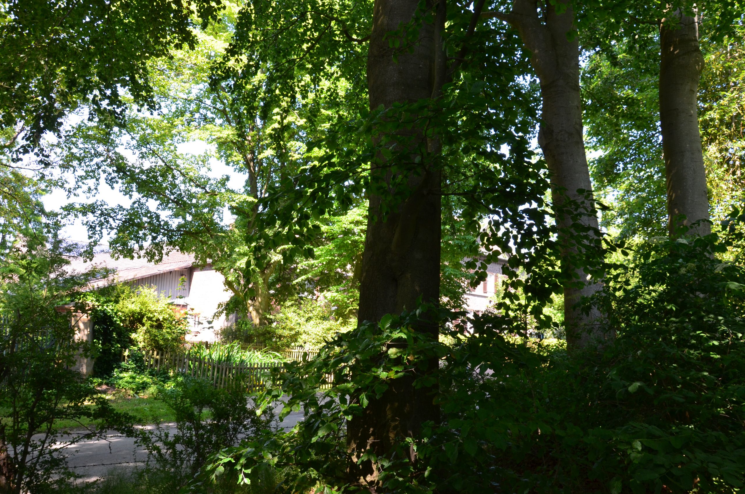 © R.R.P. | R. Recker-Proprenter | Gut Magdalenenhöhe