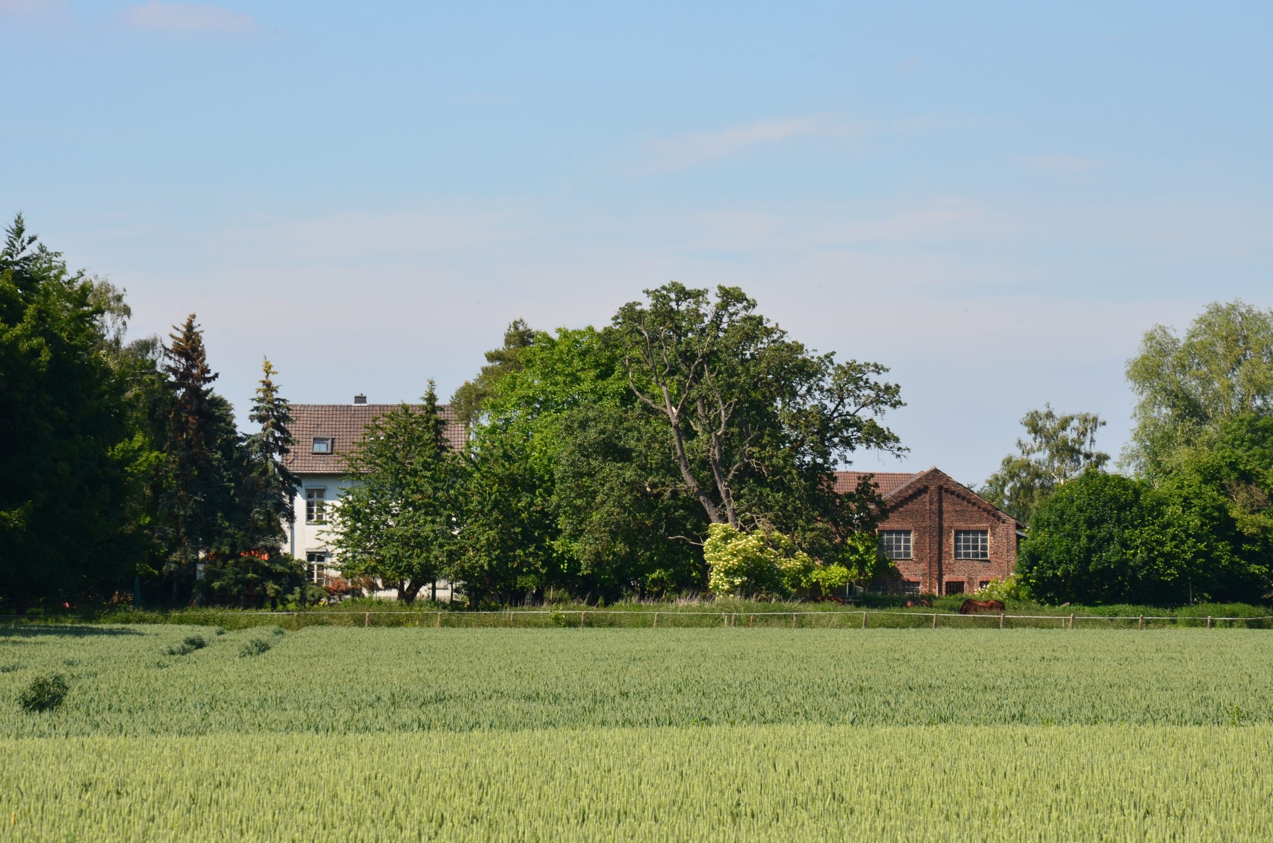 © R.R.P. | R. Recker-Proprenter | Gut Karlshöhe