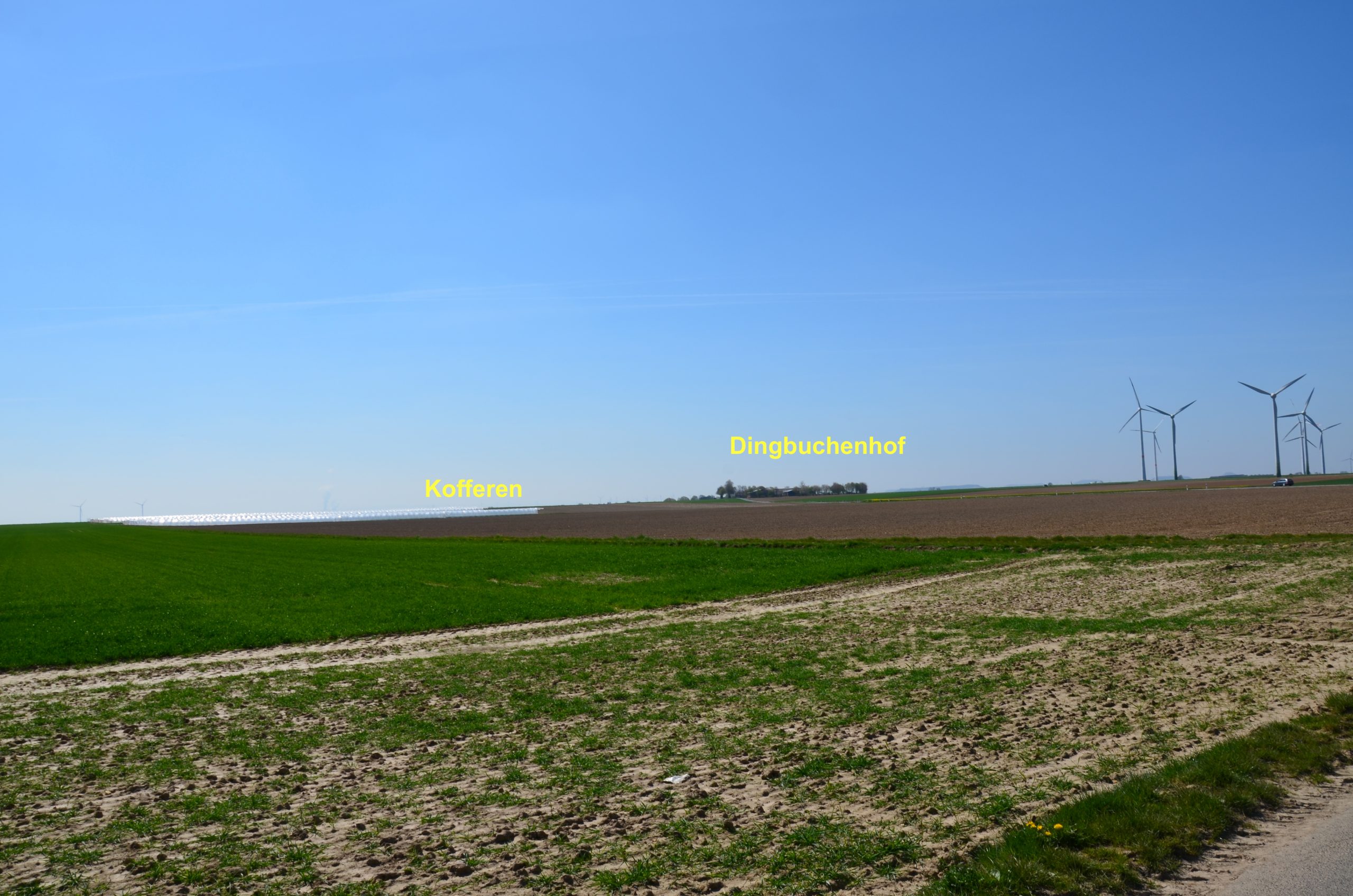 © R.R.P. | R. Recker-Proprenter | Dingbuchenhof von Kleinbouslar aus