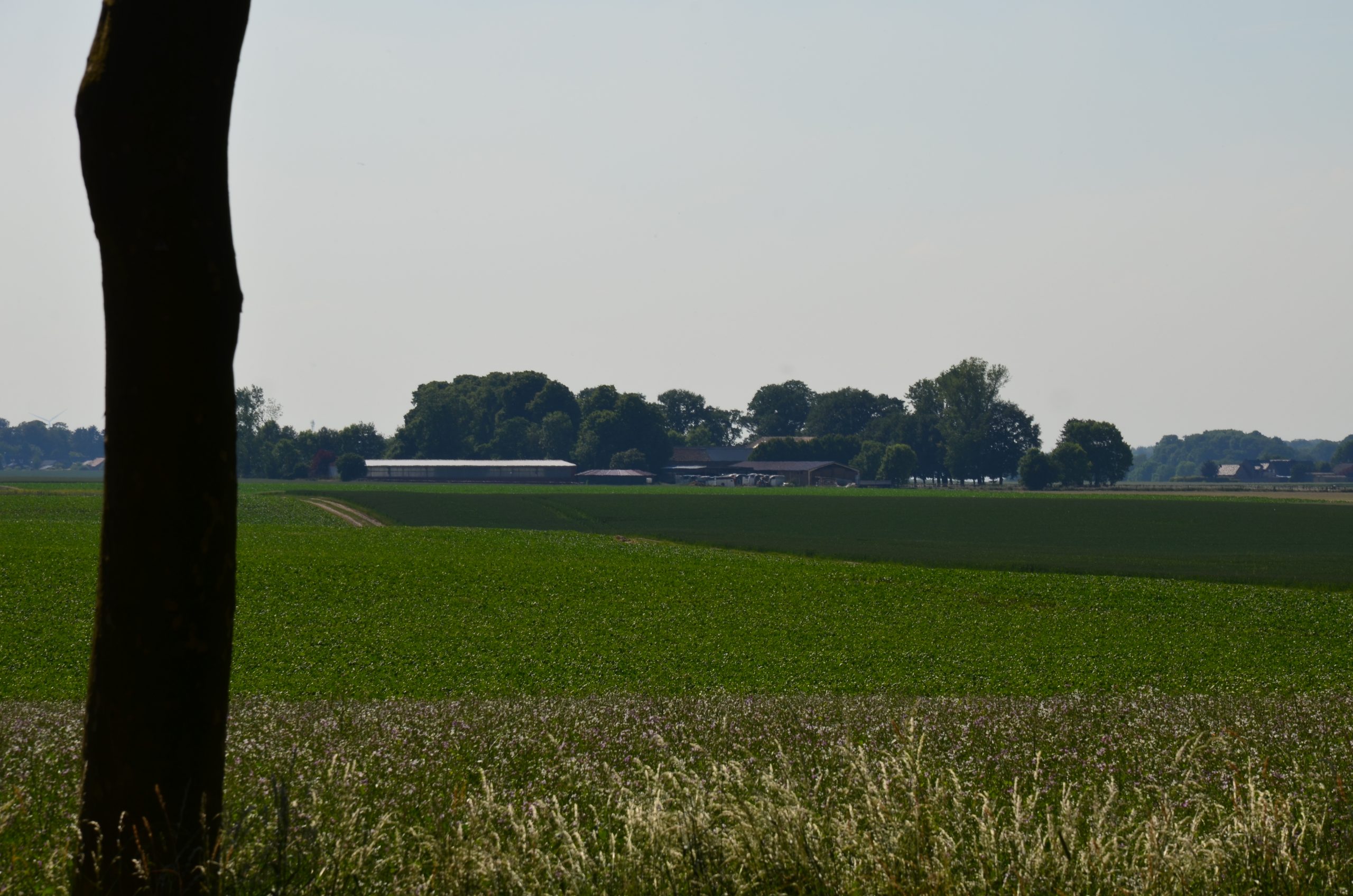 © R.R.P. | R.Recker-Proprenter | Gut Eichhof