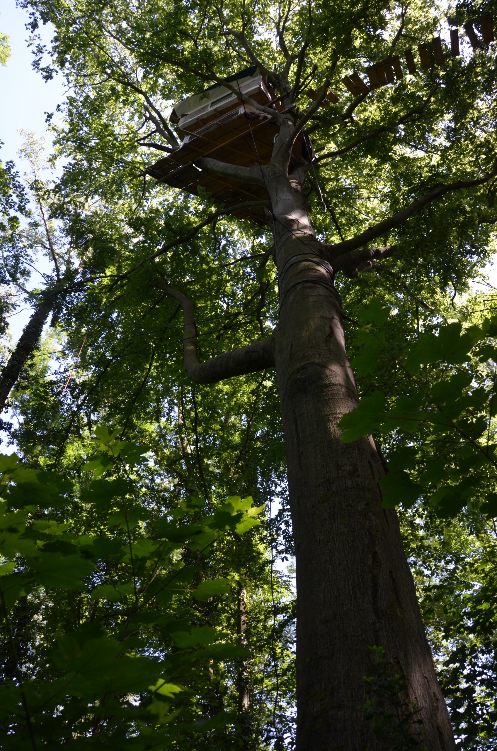 © R.R.P. | R. Recker-Proprenter | Besetztes Waldstück in Keyenberg