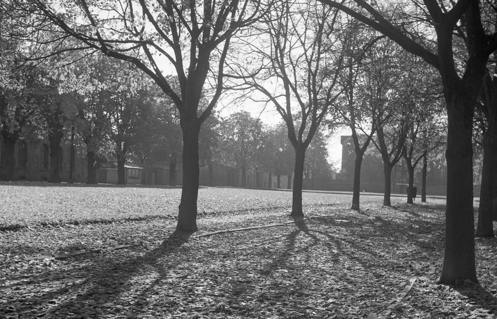 © Archiv Heimatverein | Lambert Schwingens | Westpromenade