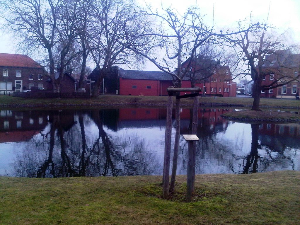 © Heimatverein der Erkelenzer Lande e. V. | Mispelbaum in Bellinghoven 2017