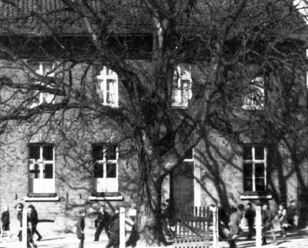 © Archiv Hetzerath | unbekannt | Alte Schule