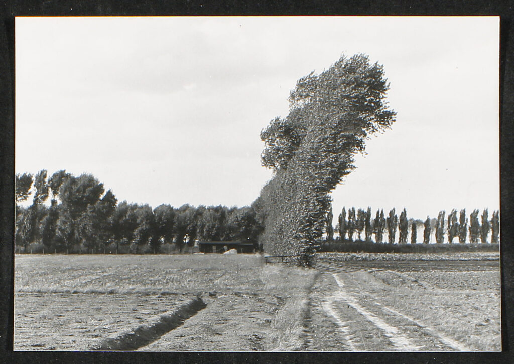 © (c) Stadtarchiv Erkelenz | Stadtarchiv Erkelenz | F2_70_07_04